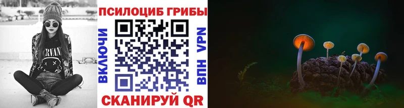 Псилоцибиновые грибы прущие грибы  мега ССЫЛКА  Нарьян-Мар 